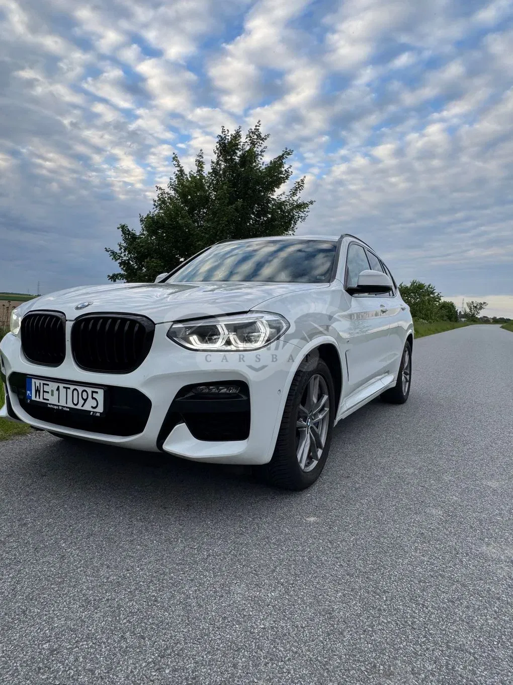 BMW X3 G01 xDrive30i M Sport sport 2020