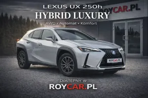 Lexus UX 2019