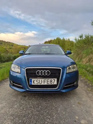 Audi A3 8P 1.9 TDI DPF e 2008