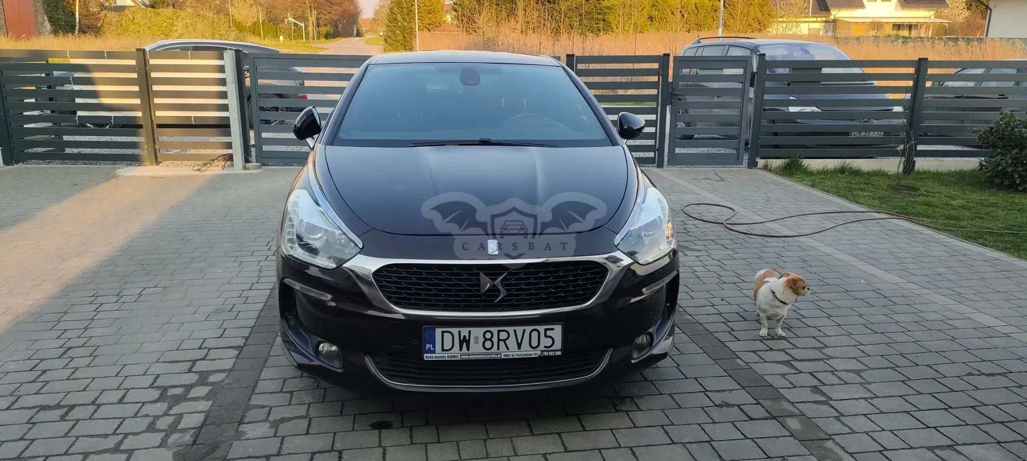 DS DS5 2017