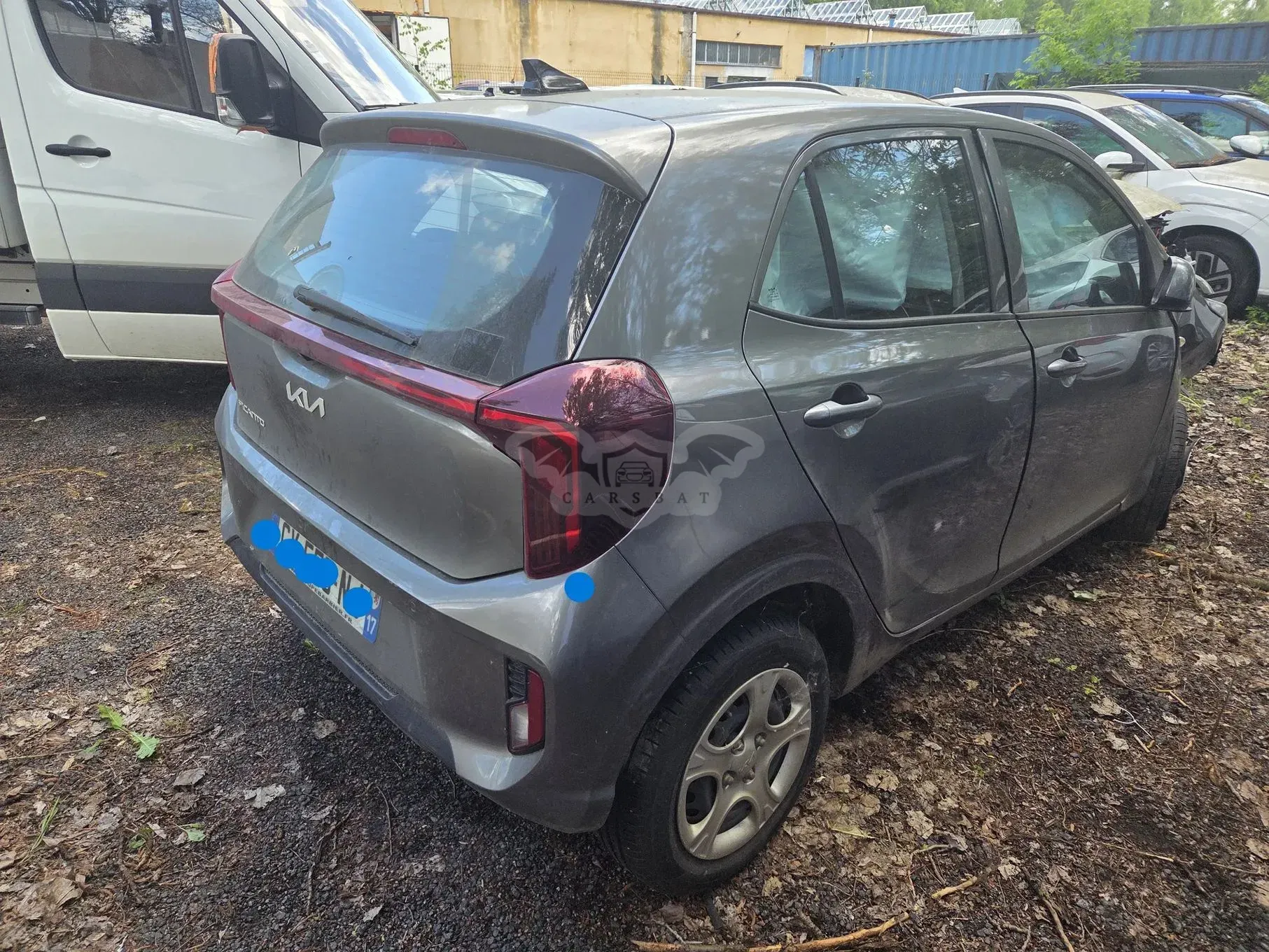 Kia Picanto (Morning) III 1.2 Automatik Spirit Premium Edition 2024