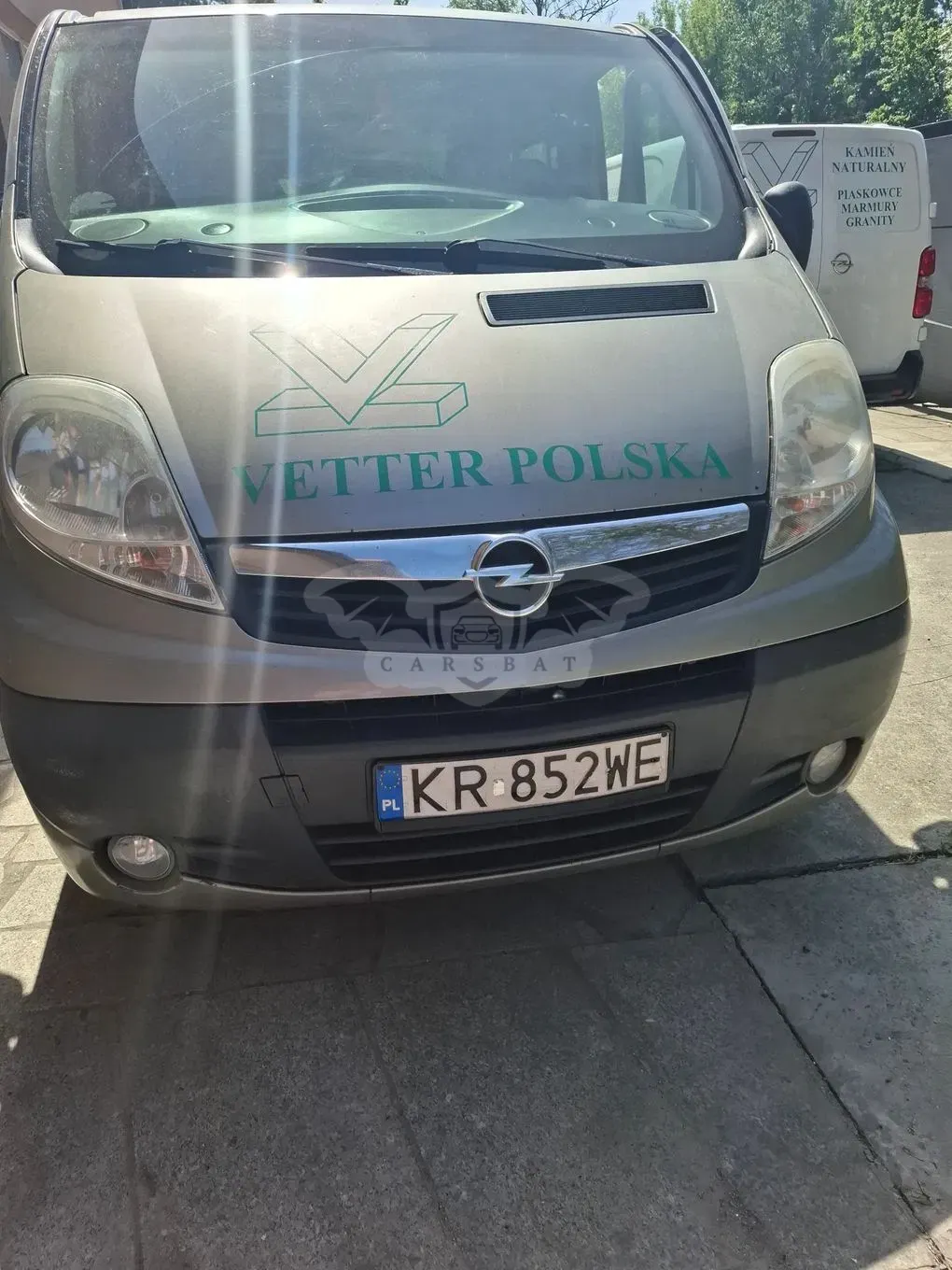 Opel Vivaro II L2H1 2.9t Edition 2013