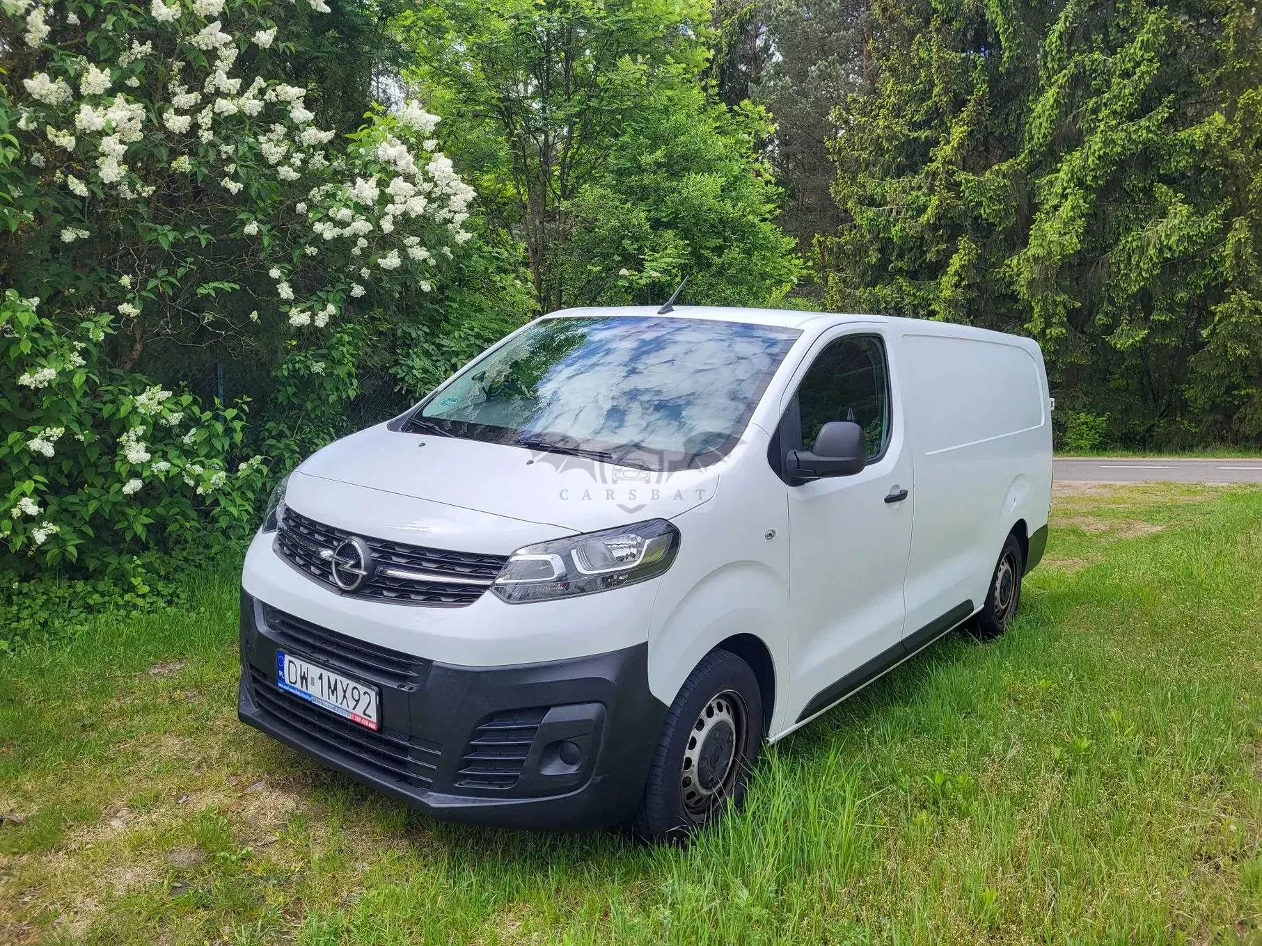 Opel Vivaro 2019