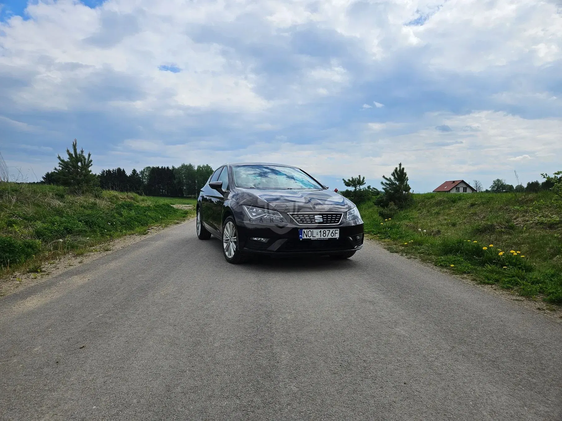 Seat Leon III 1.5 EcoTSI Evo Xcellence S&S DSG 2019
