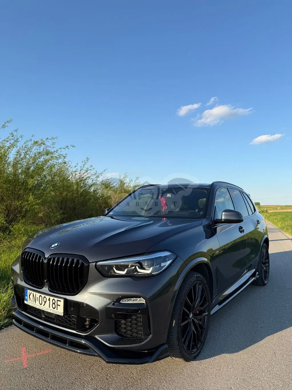 BMW X5 G05 xDrive40d mHEV 2020