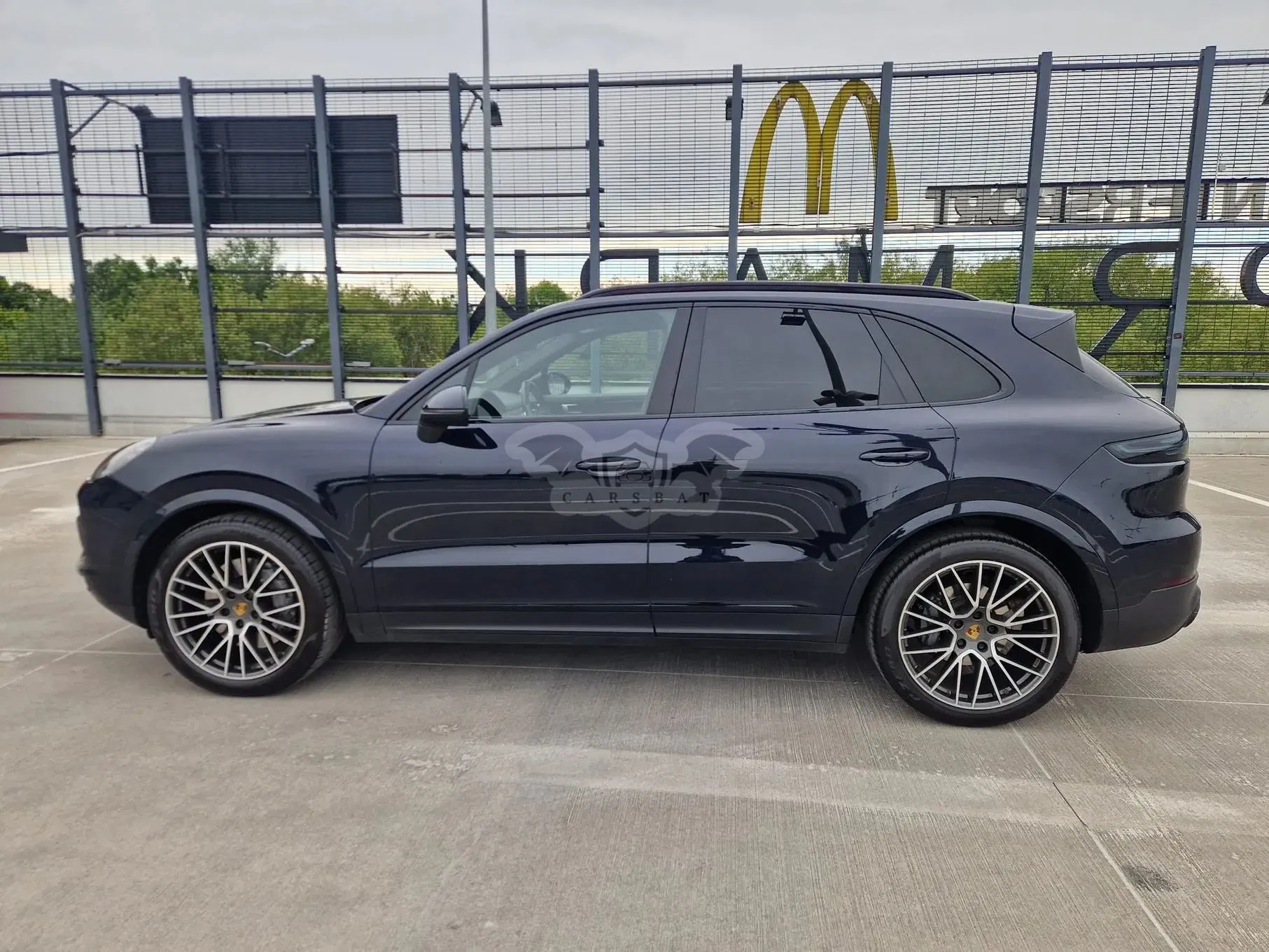 Porsche Cayenne III Platinum Edition 2019