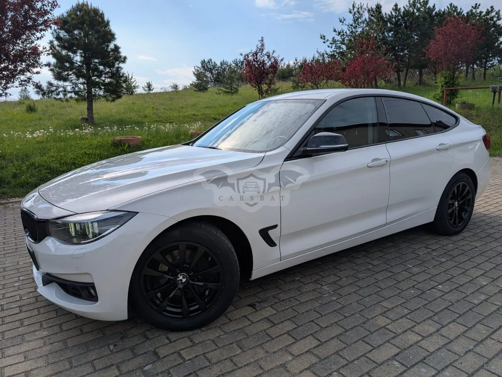 BMW 3 Series F34 318d Advantage 2019