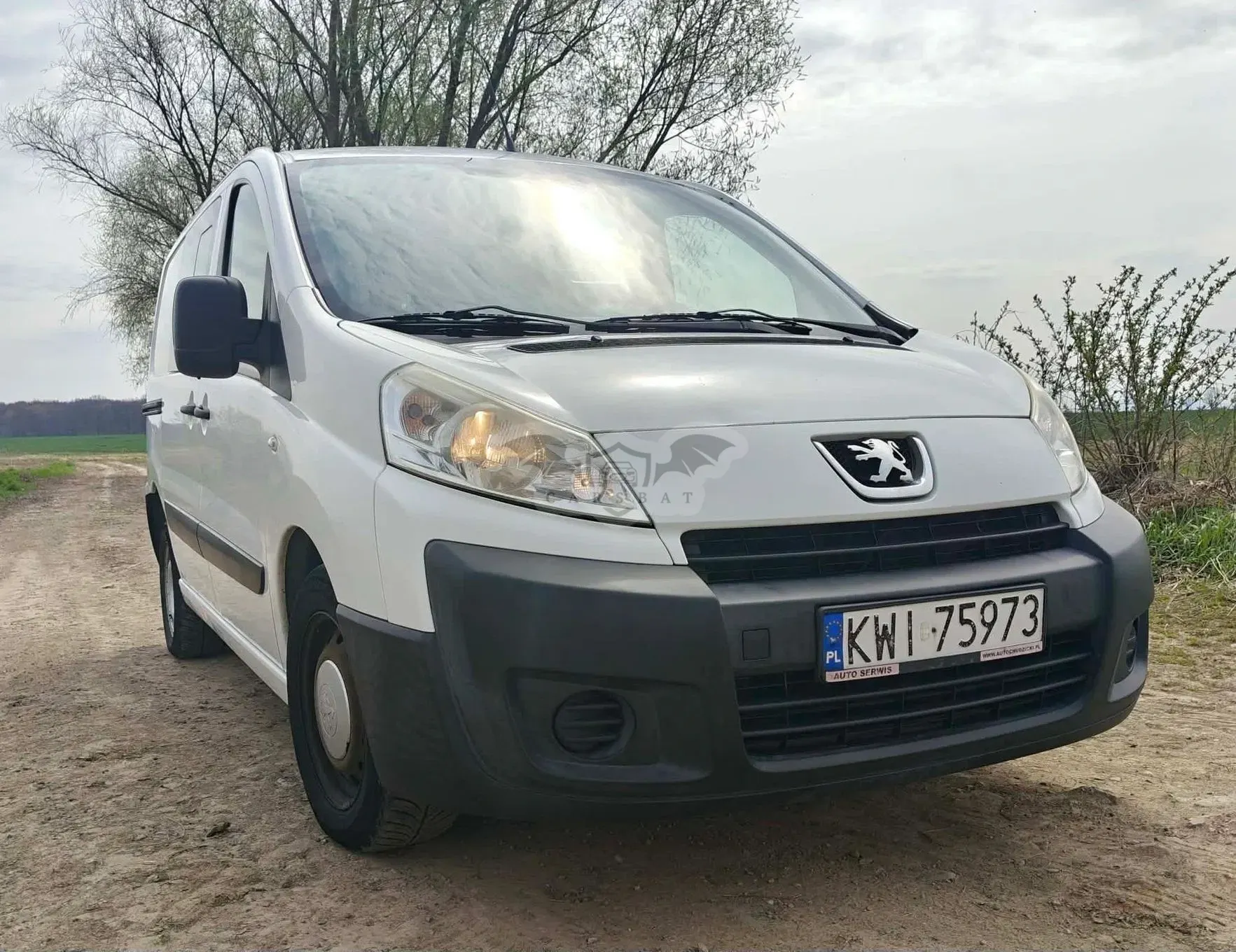 Peugeot Expert 2008