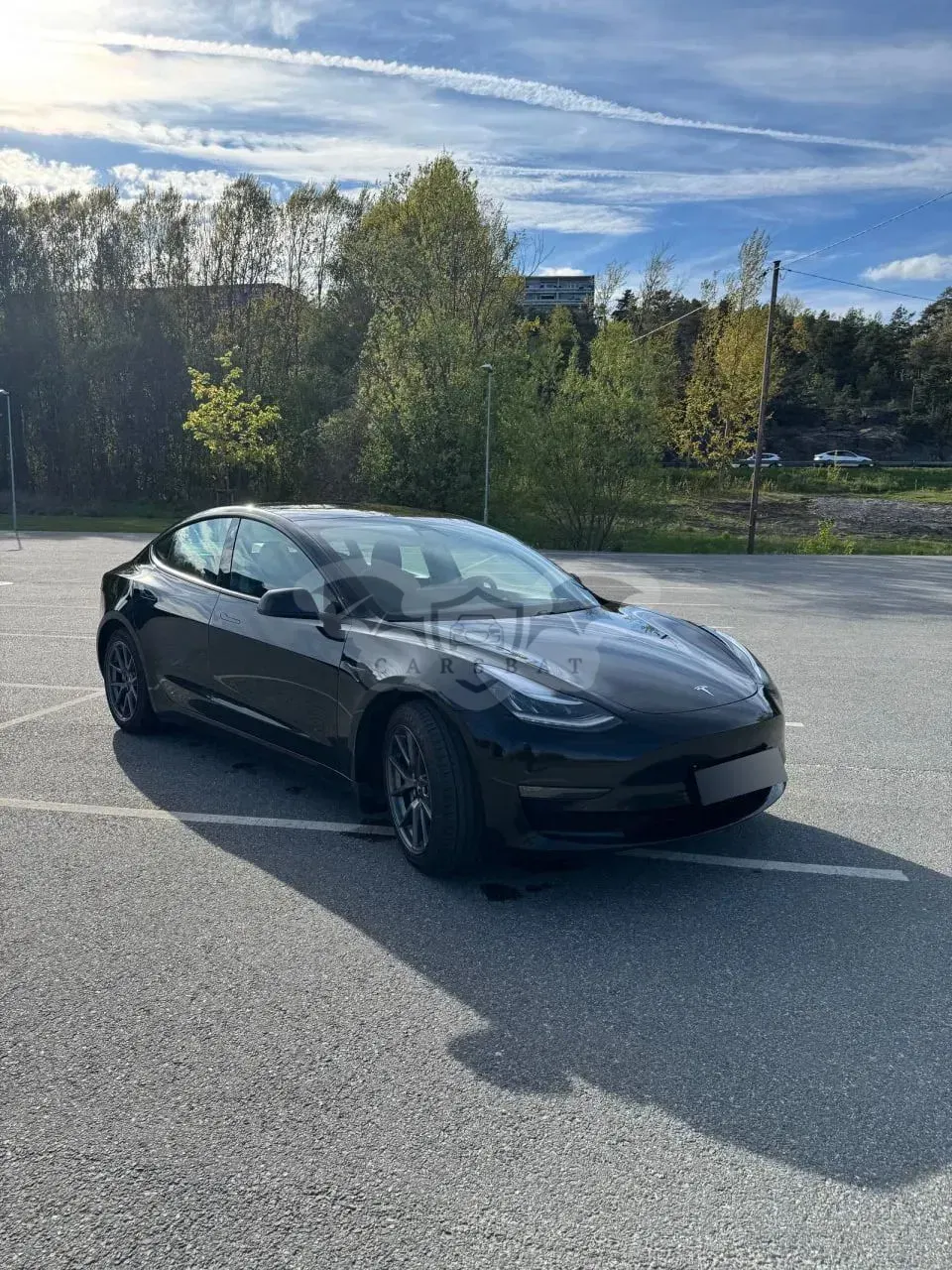 Tesla Model 3 Premium Langstreckenbatterie AWD Dual Motor 2020