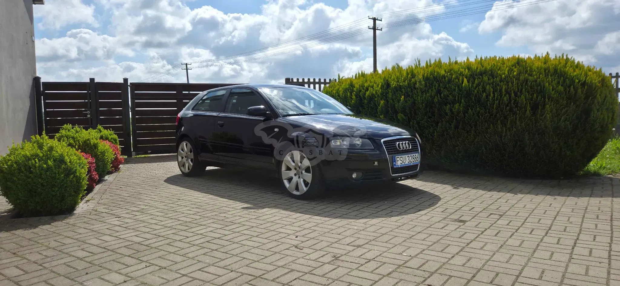 Audi A3 8P 1.9 TDI DPF e 2006