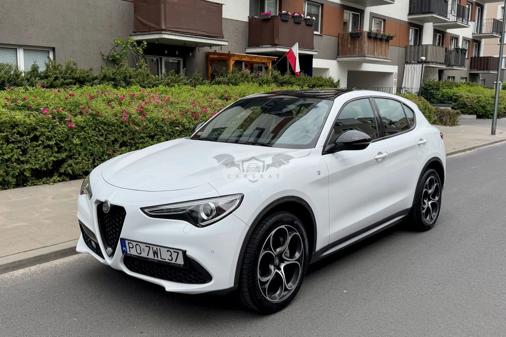 Alfa Romeo Stelvio 2.0 Turbo TI Q4 2022