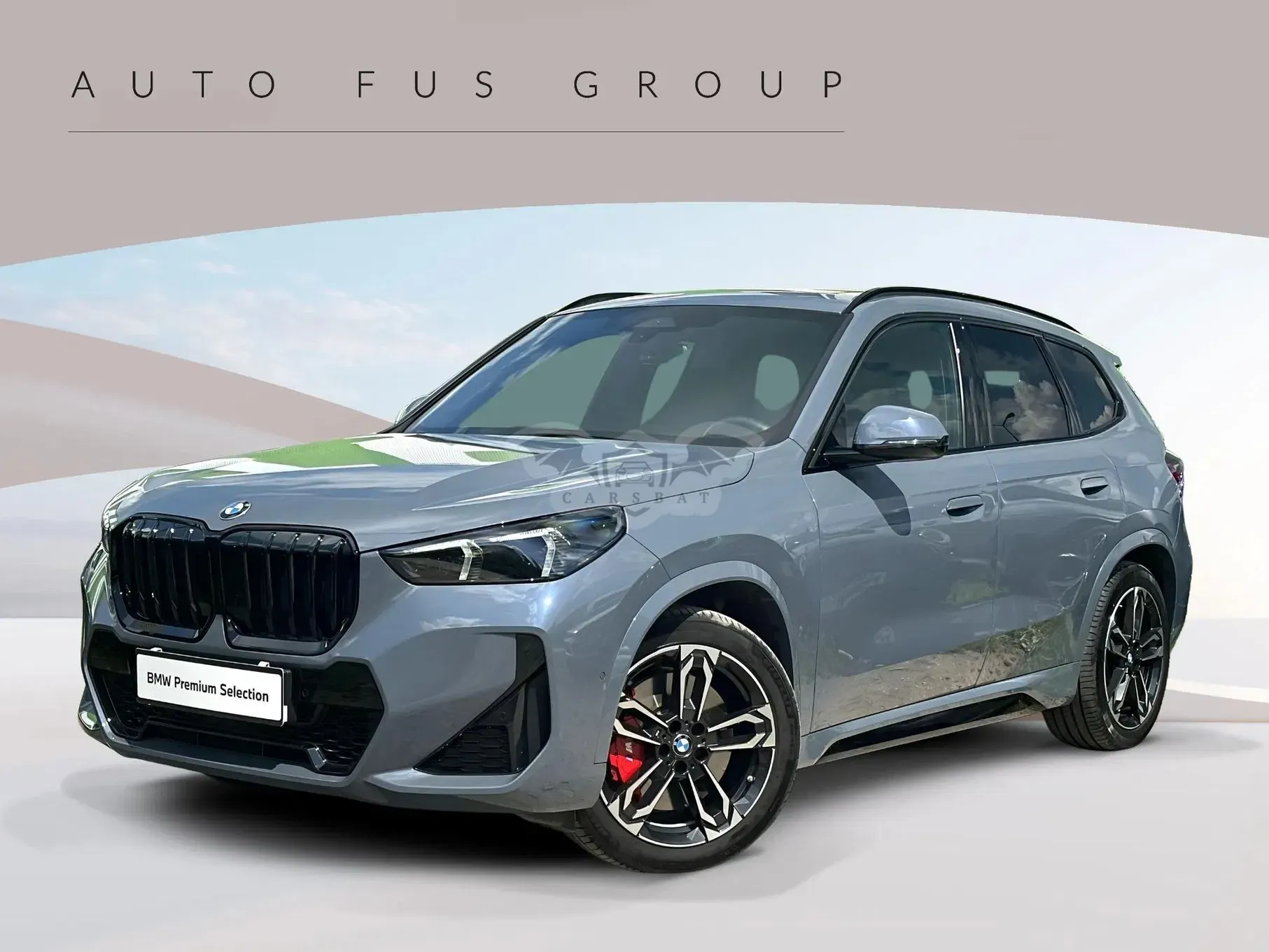 BMW X1 U11 xDrive20d mHEV M Sport sport 2025
