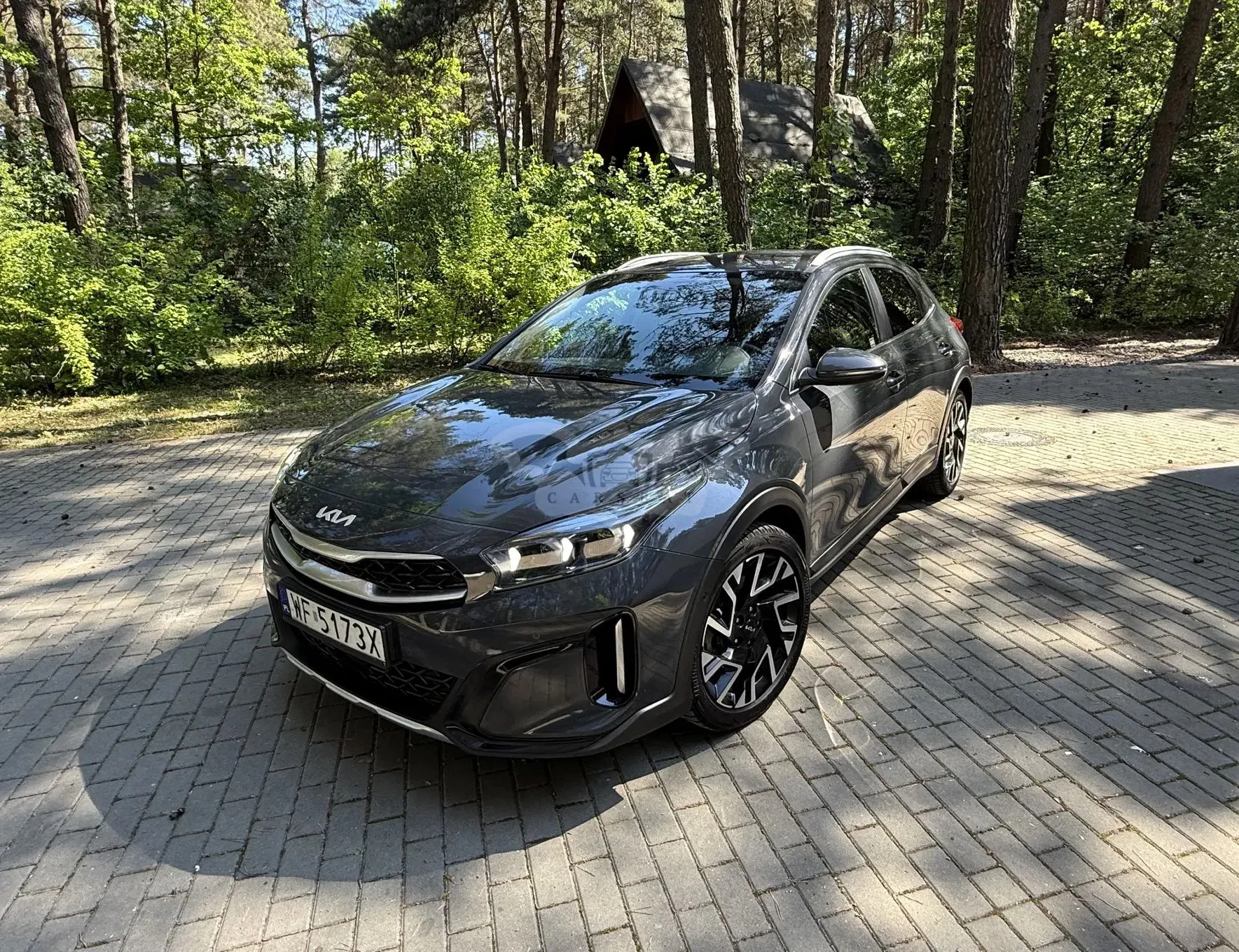 Kia XCeed 1.5 T-GDI Business Line DCT 2022