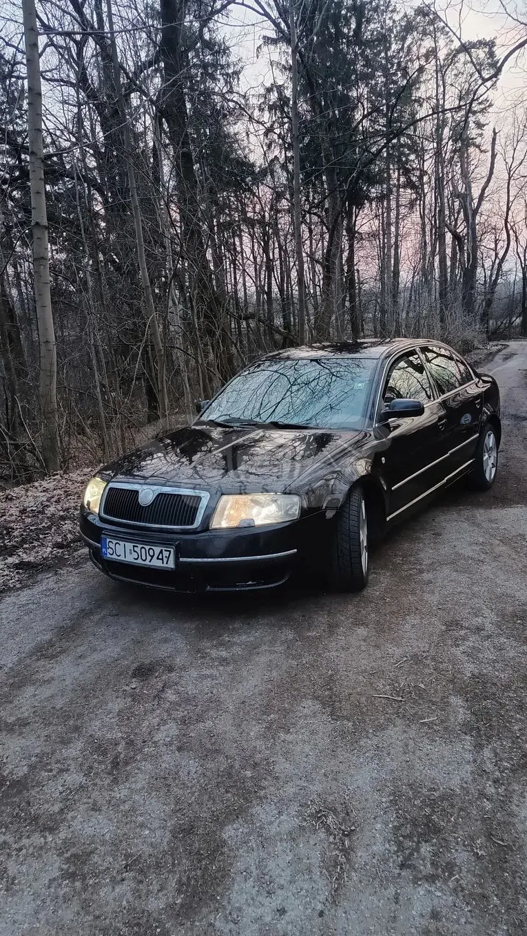 Skoda Superb I 2.0 TDI DPF Platinum 2006