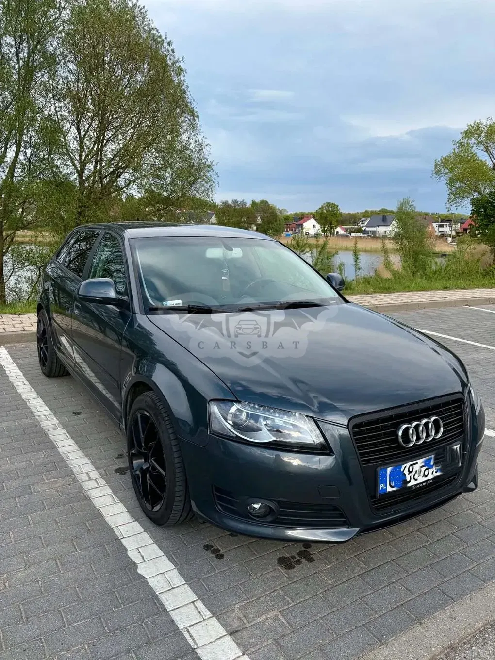 Audi A3 8P 1.6 TDI DPF Attraction 2009