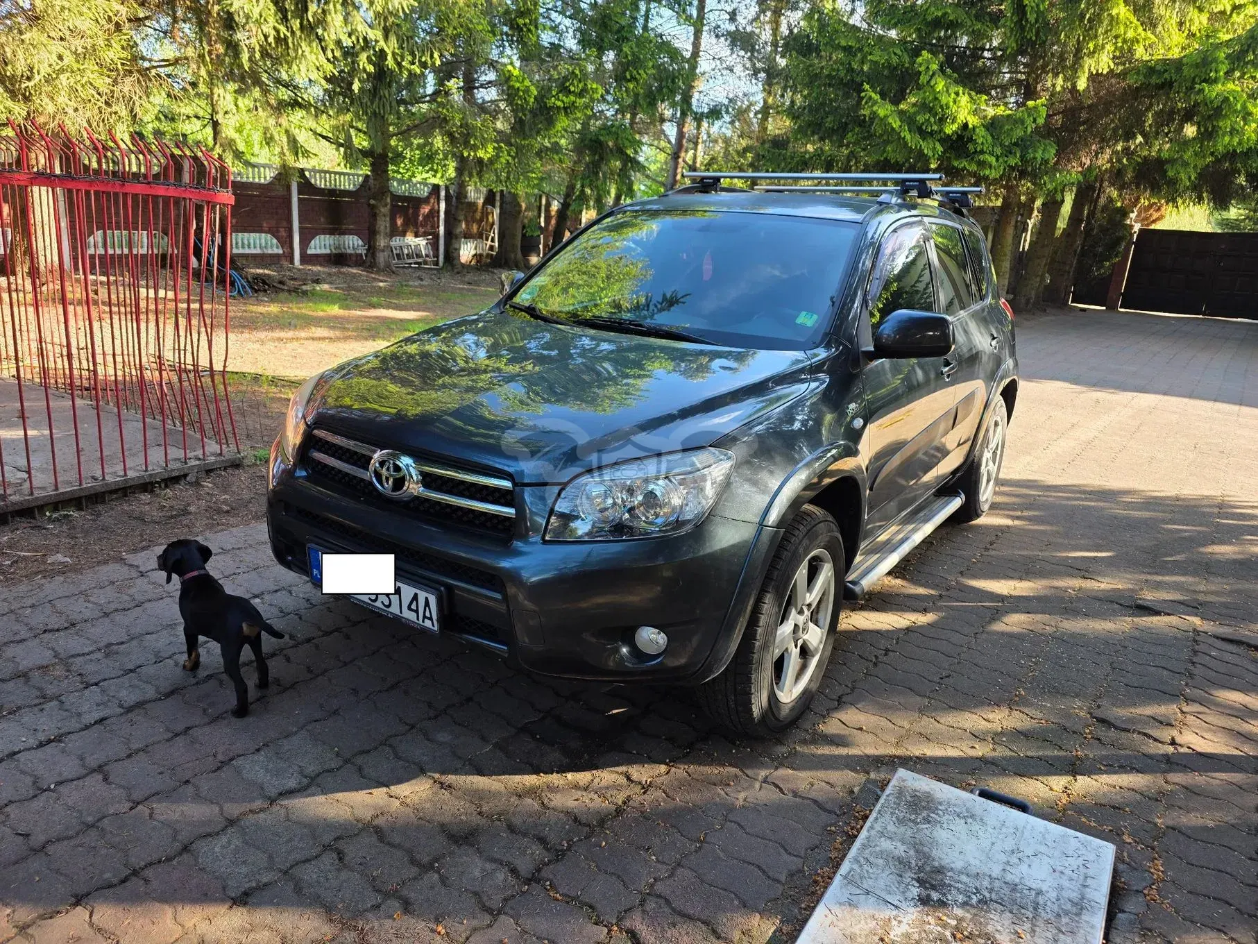 Toyota Rav4 III 2.2 D-CAT 4x4 Executive 2006