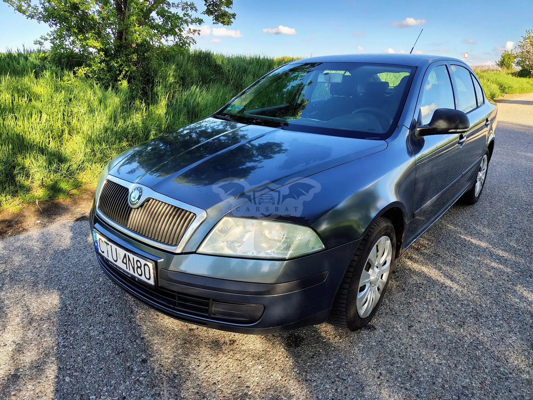 Skoda Octavia II 1.9 TDI Classic 2004