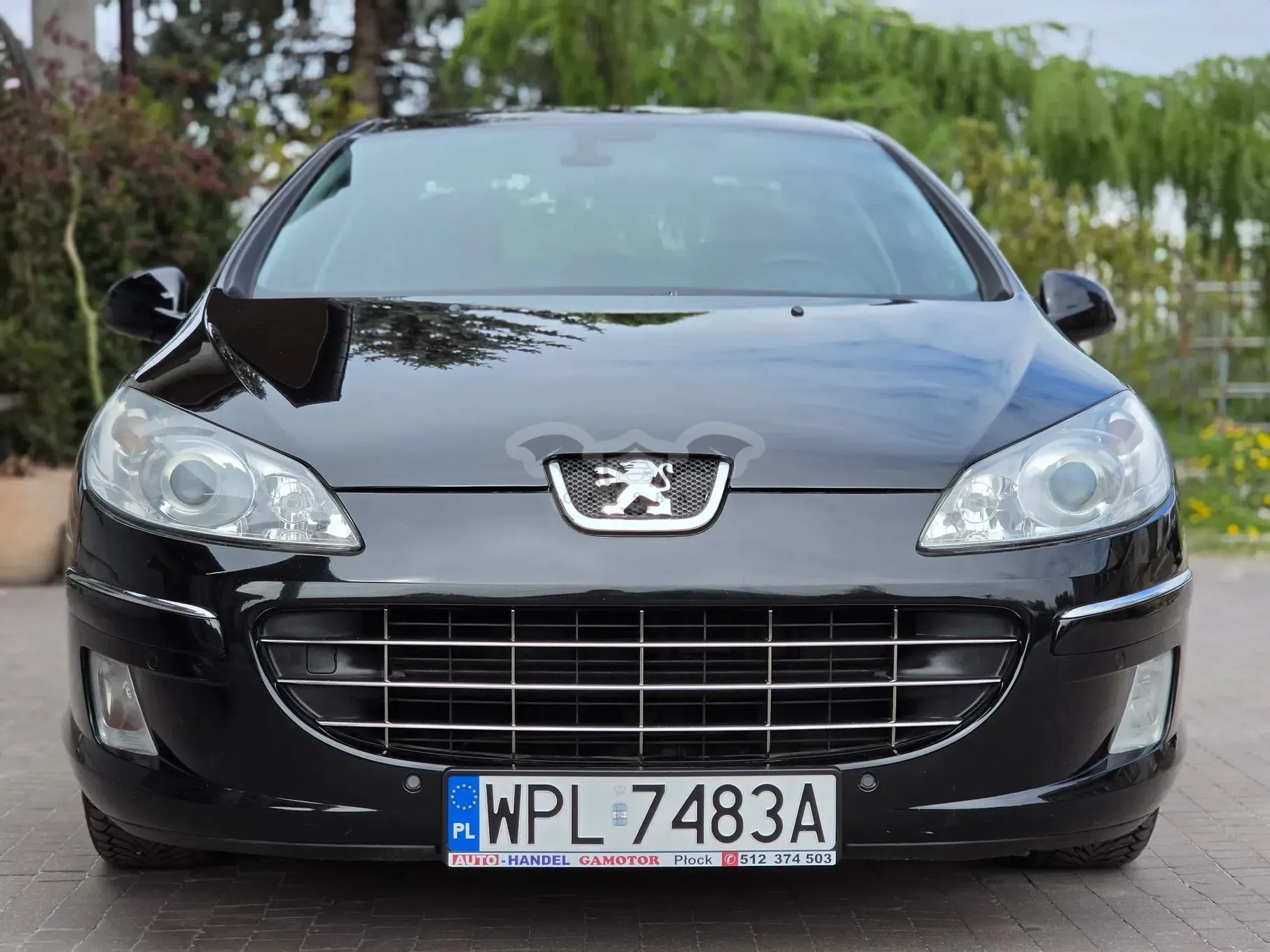 Peugeot 407 2009