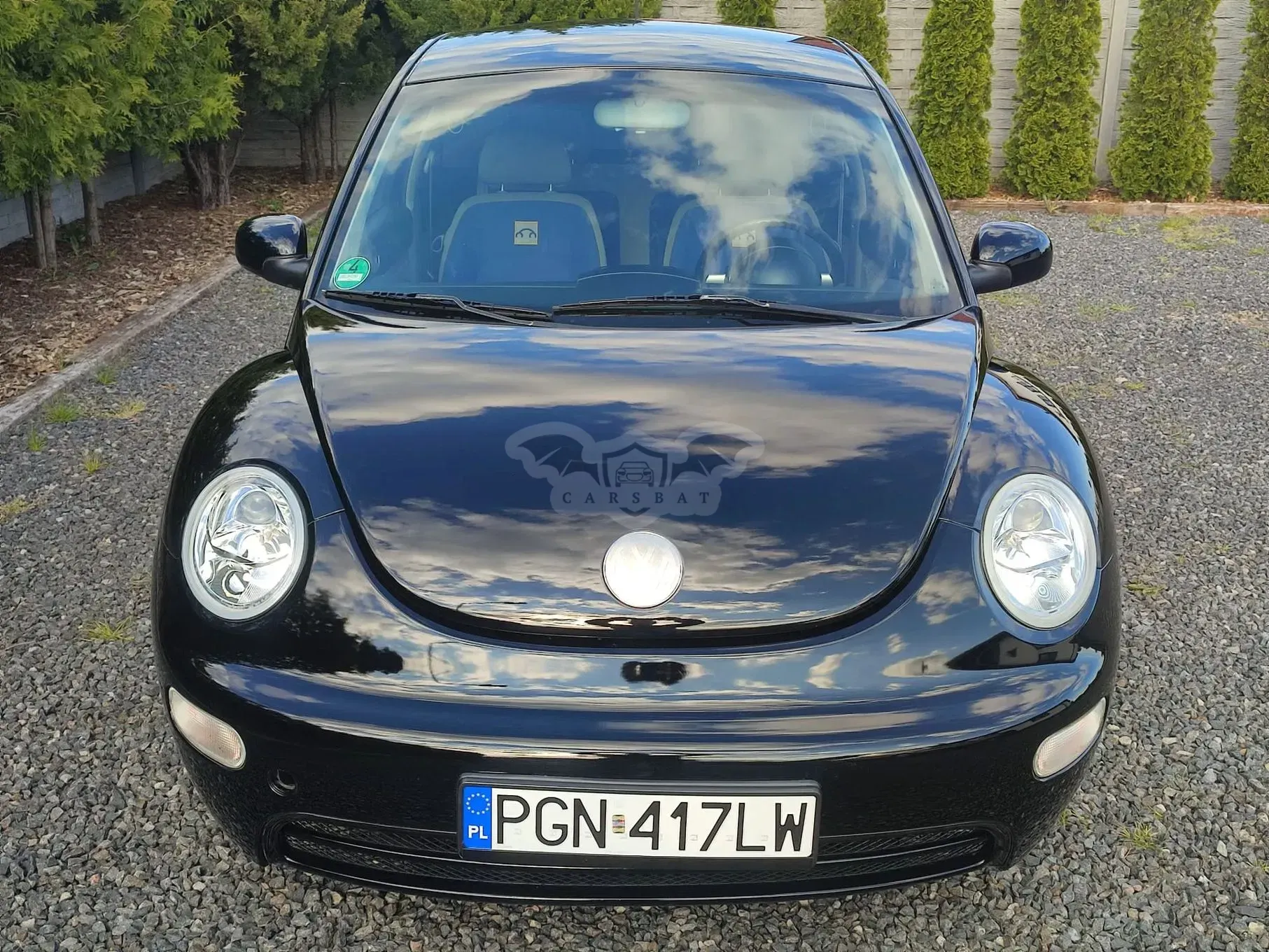 Volkswagen Beetle 2001