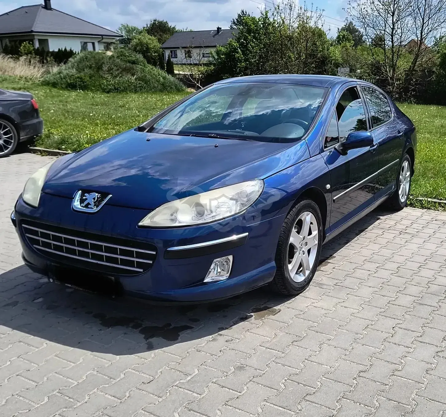 Peugeot 407 140 Tendance 2005