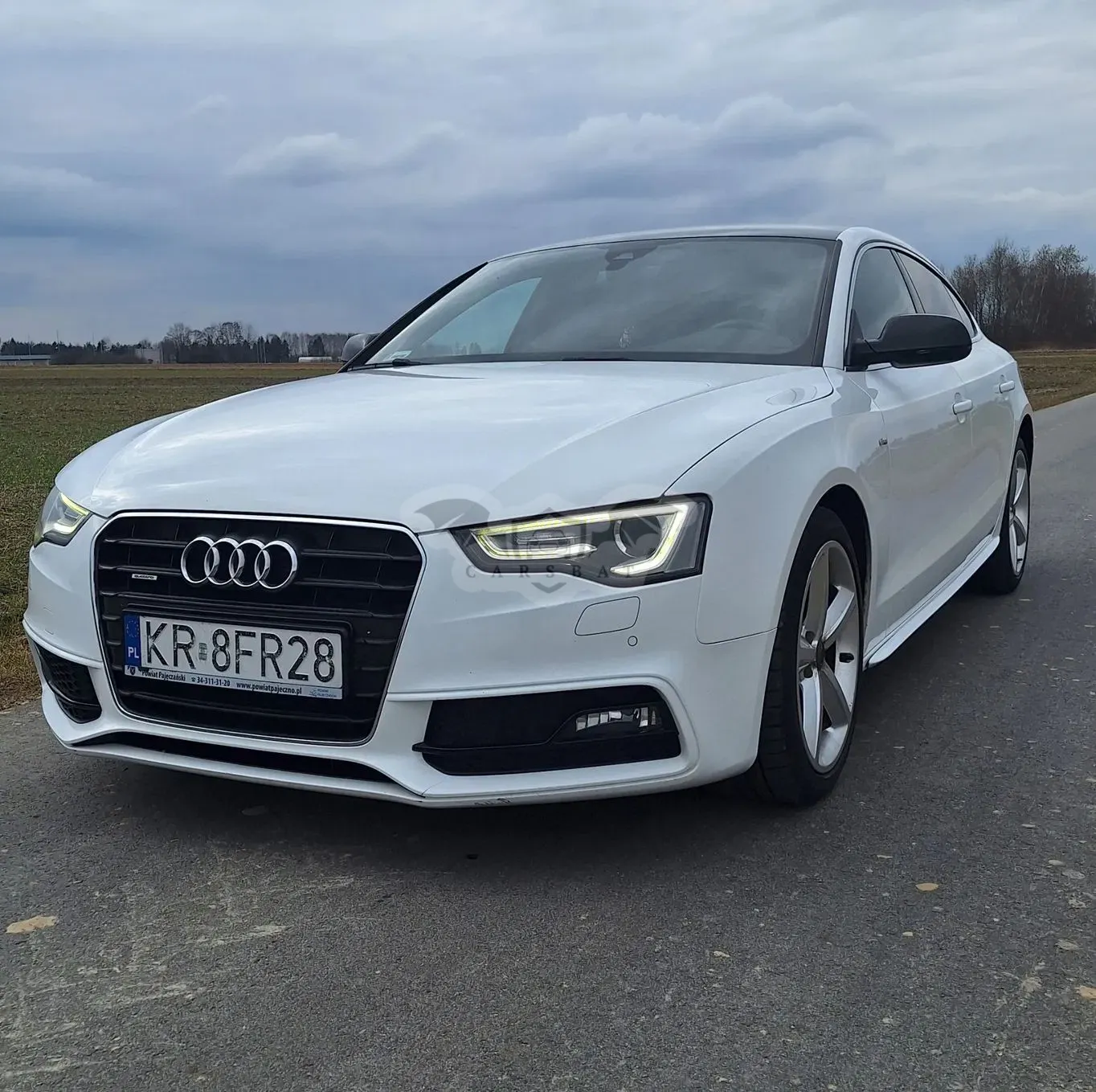 Audi A5 8T 2.0 TDI clean diesel Quattro S tronic 2014
