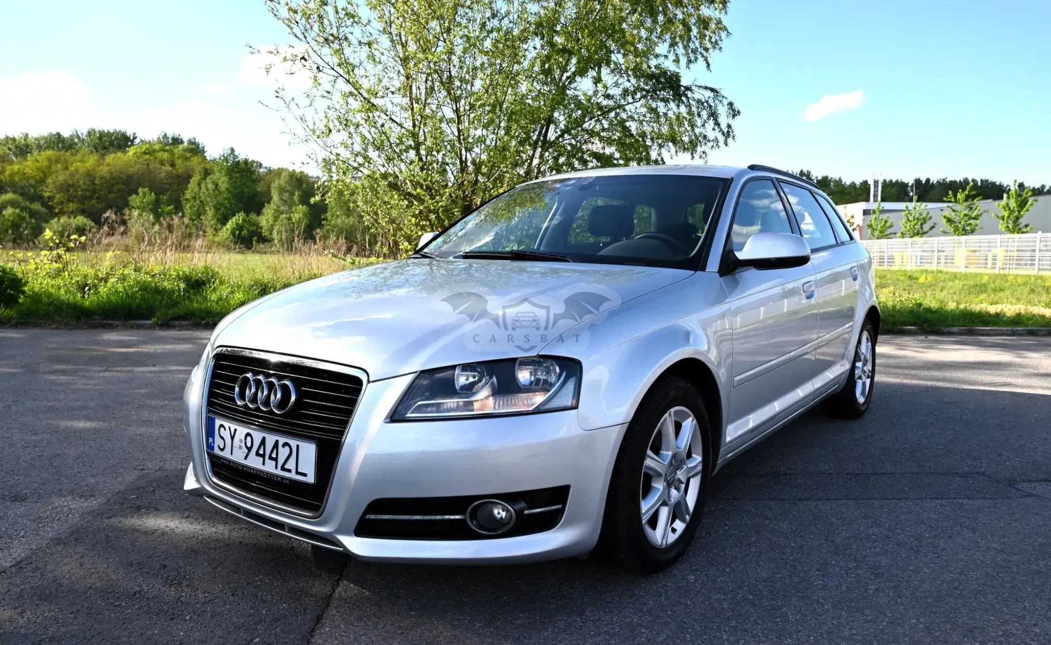 Audi A3 8P 2010