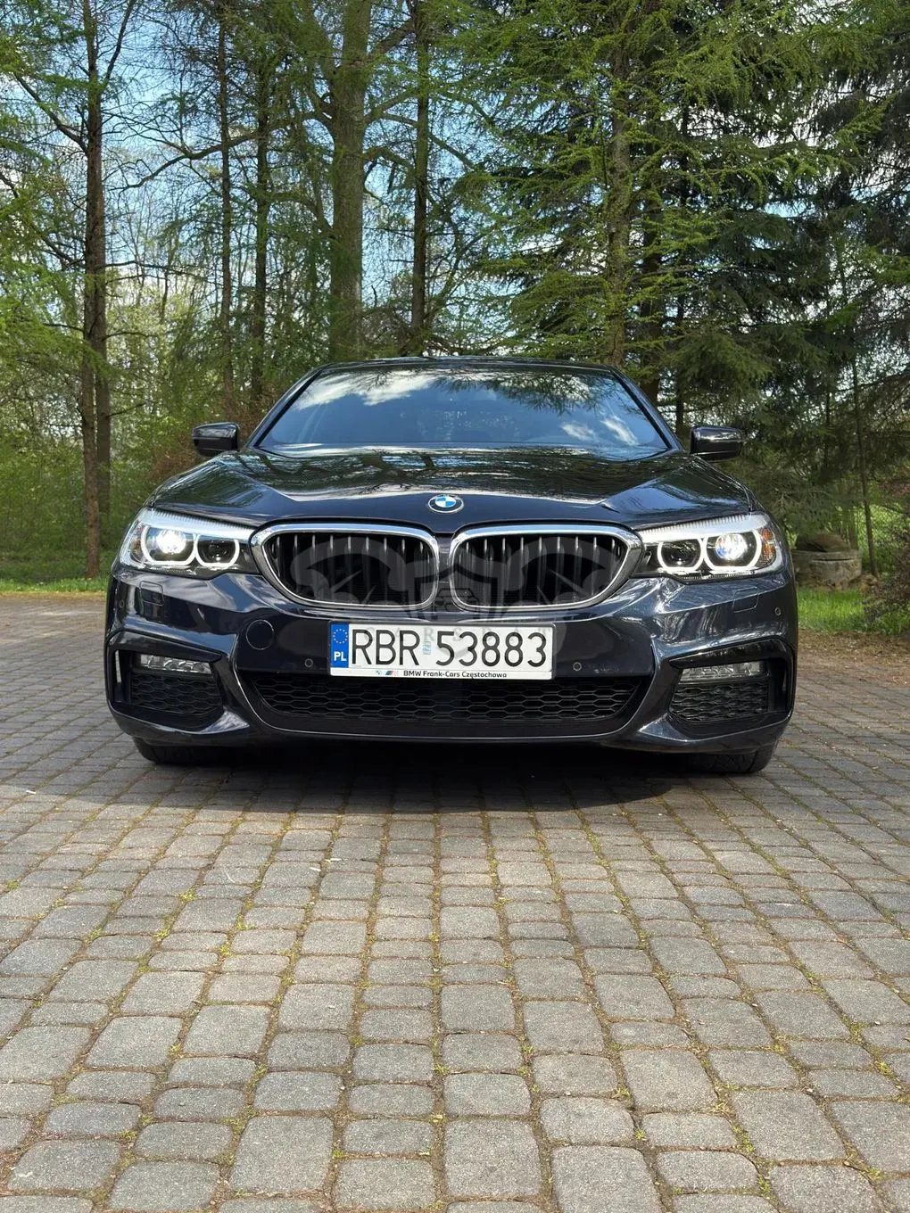 BMW 5 Series G30/G31 530i M Sport sport 2017