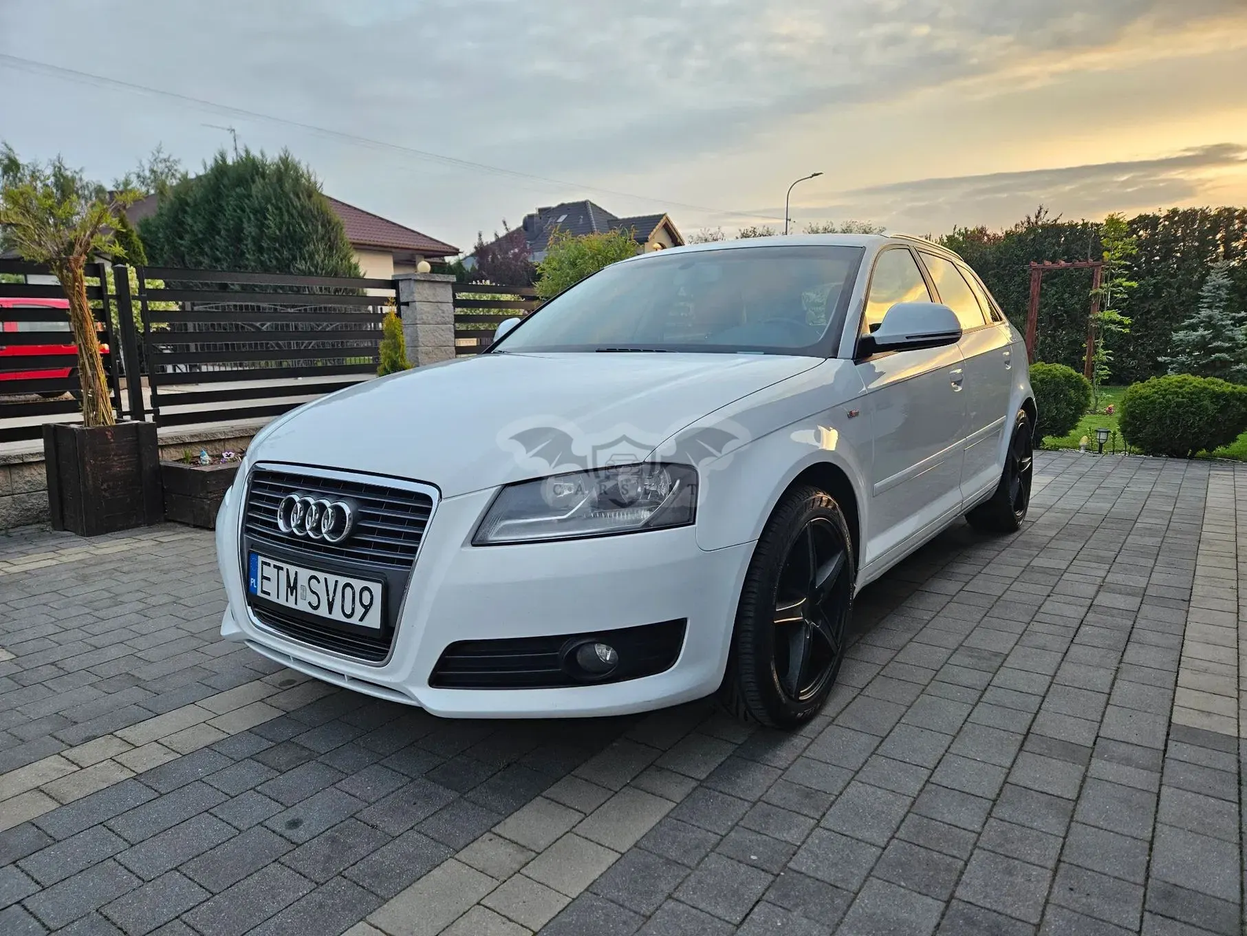 Audi A3 8P 2008