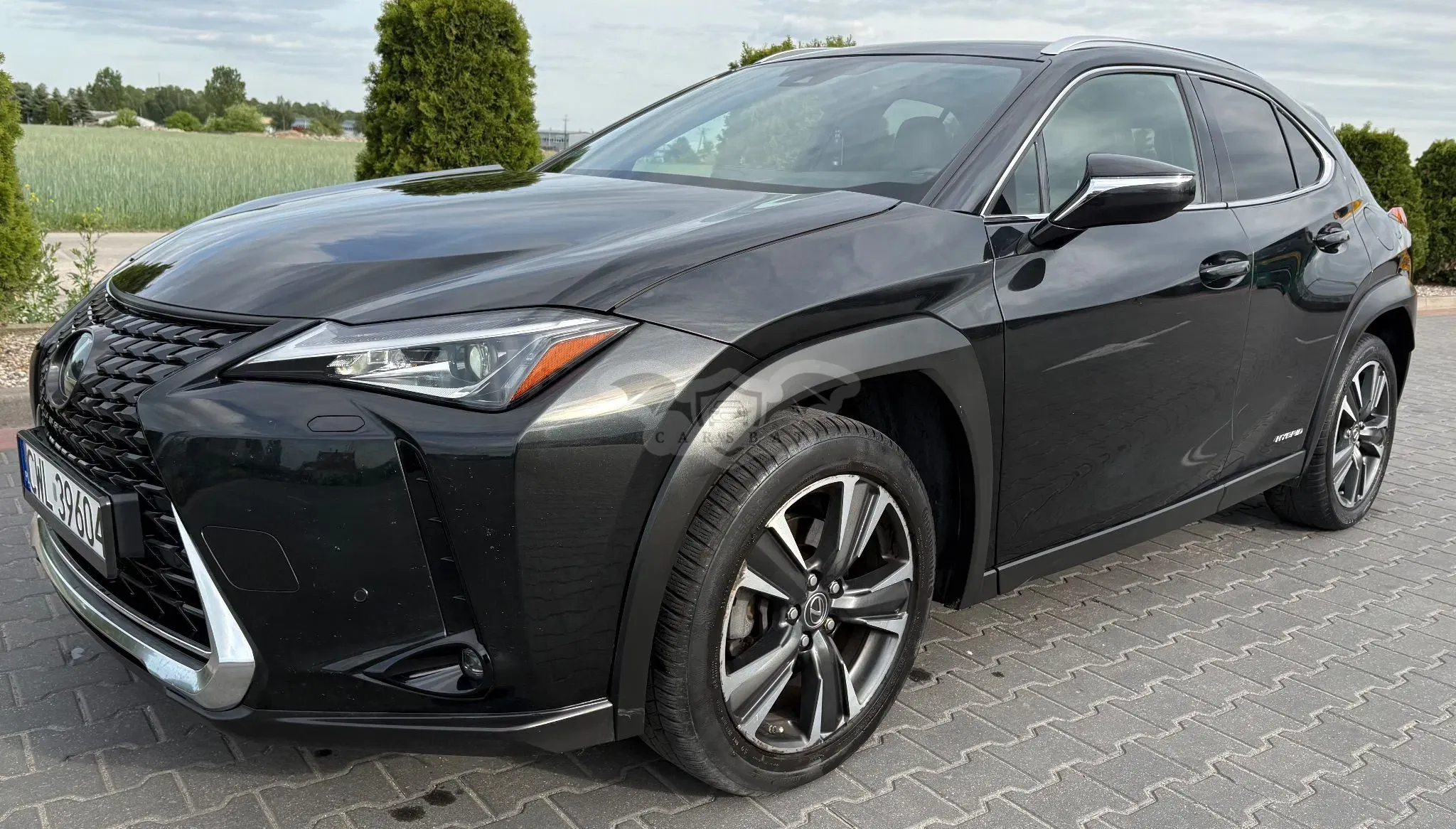 Lexus UX 250h GPF Business Edition 2WD 2020