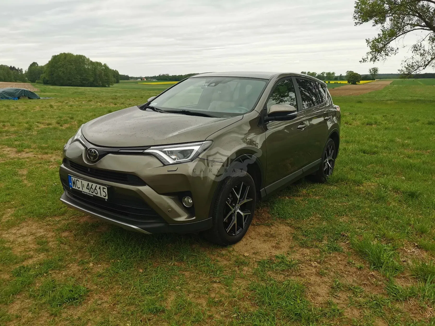 Toyota Rav4 IV 2.0 Prestige 4x4 MS 2017