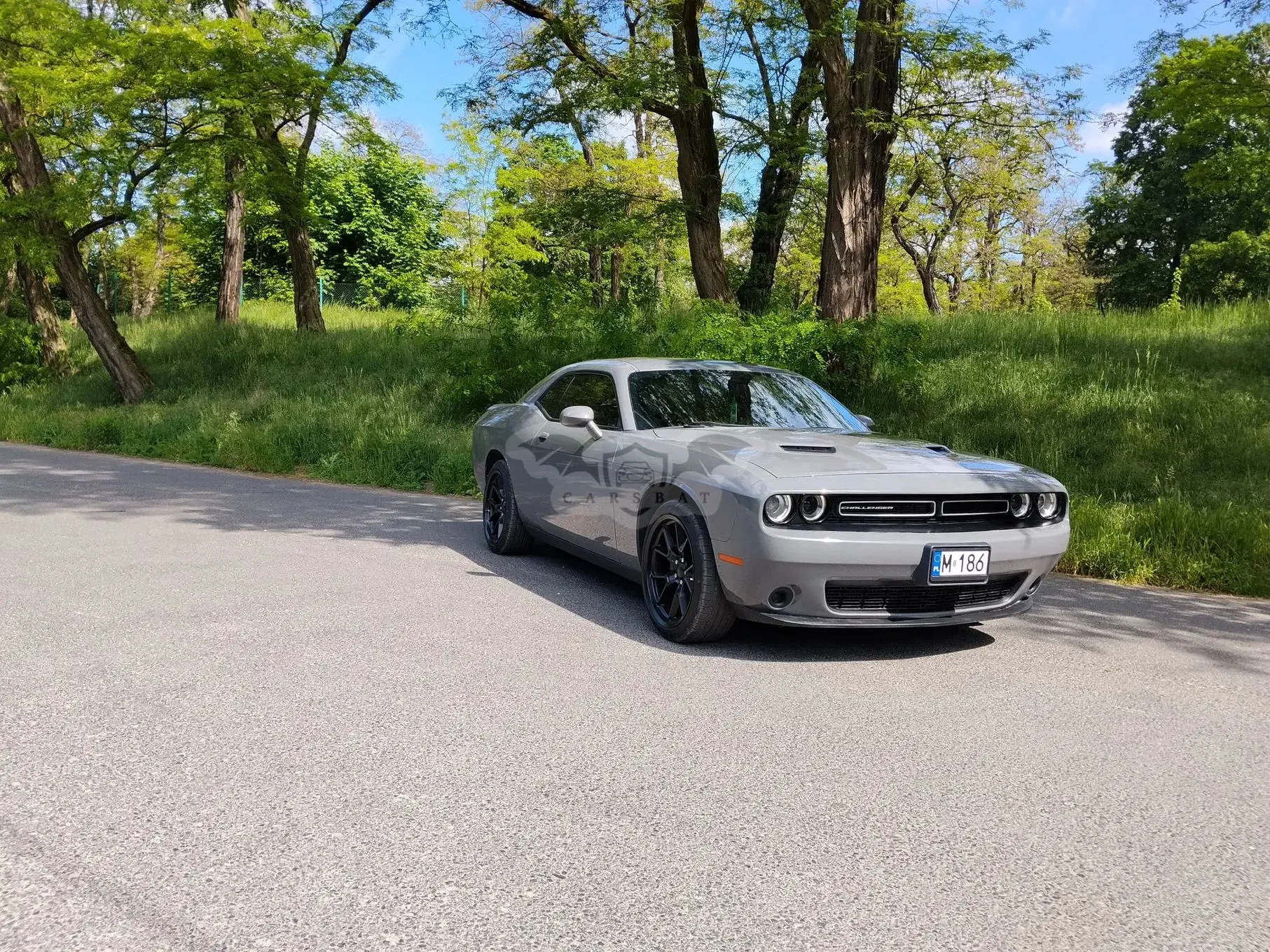 Dodge Challenger 2019