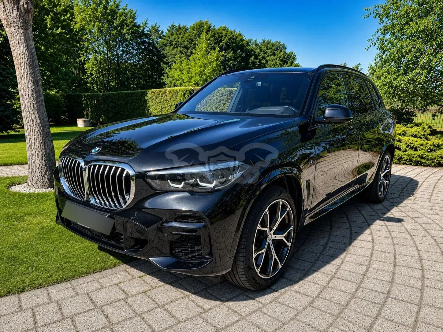 BMW X5 G05 xDrive25d sport 2022