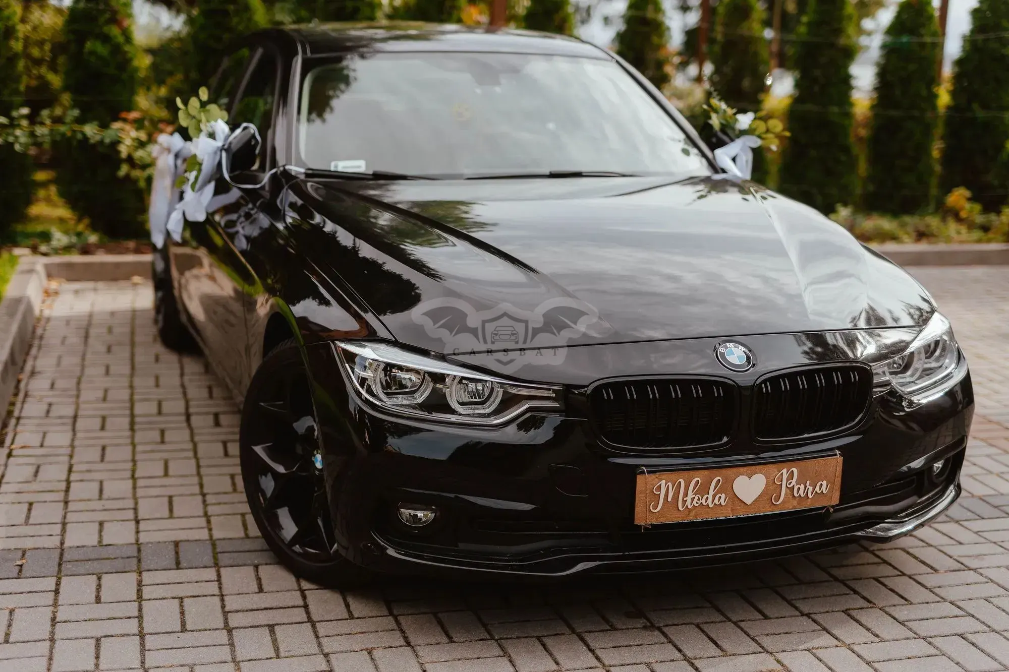 BMW 3 Series F30/F31 320i xDrive Edition Luxury Line Purity 2018