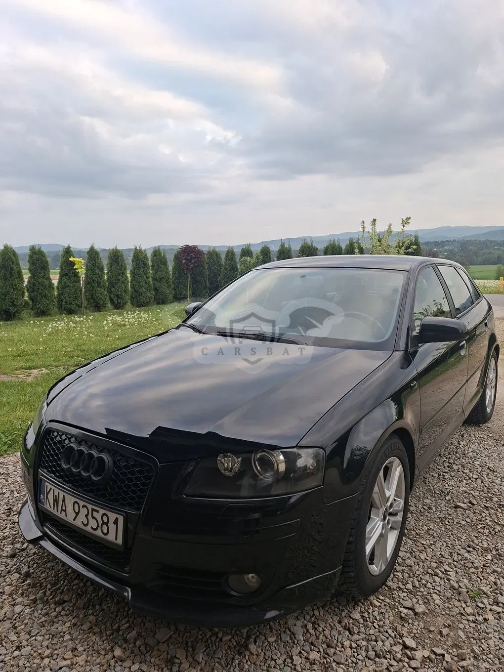 Audi A3 8P 1.9 TDI Attraction 2007