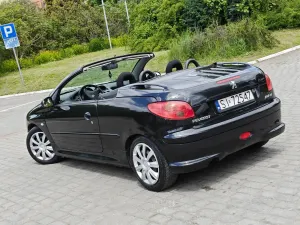 Peugeot 206 110 Roxy 2004