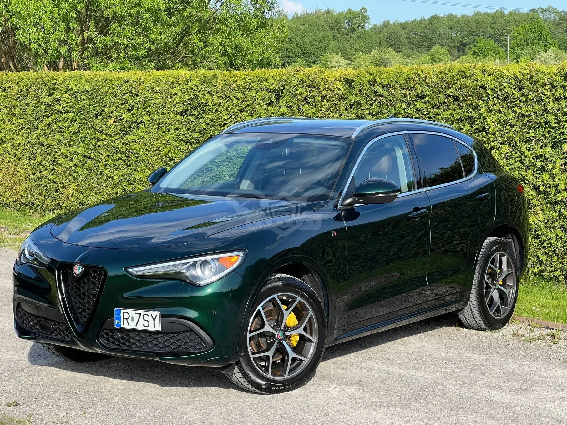 Alfa Romeo Stelvio 2.0 Turbo 16V AT8-Q4 Ti 2021