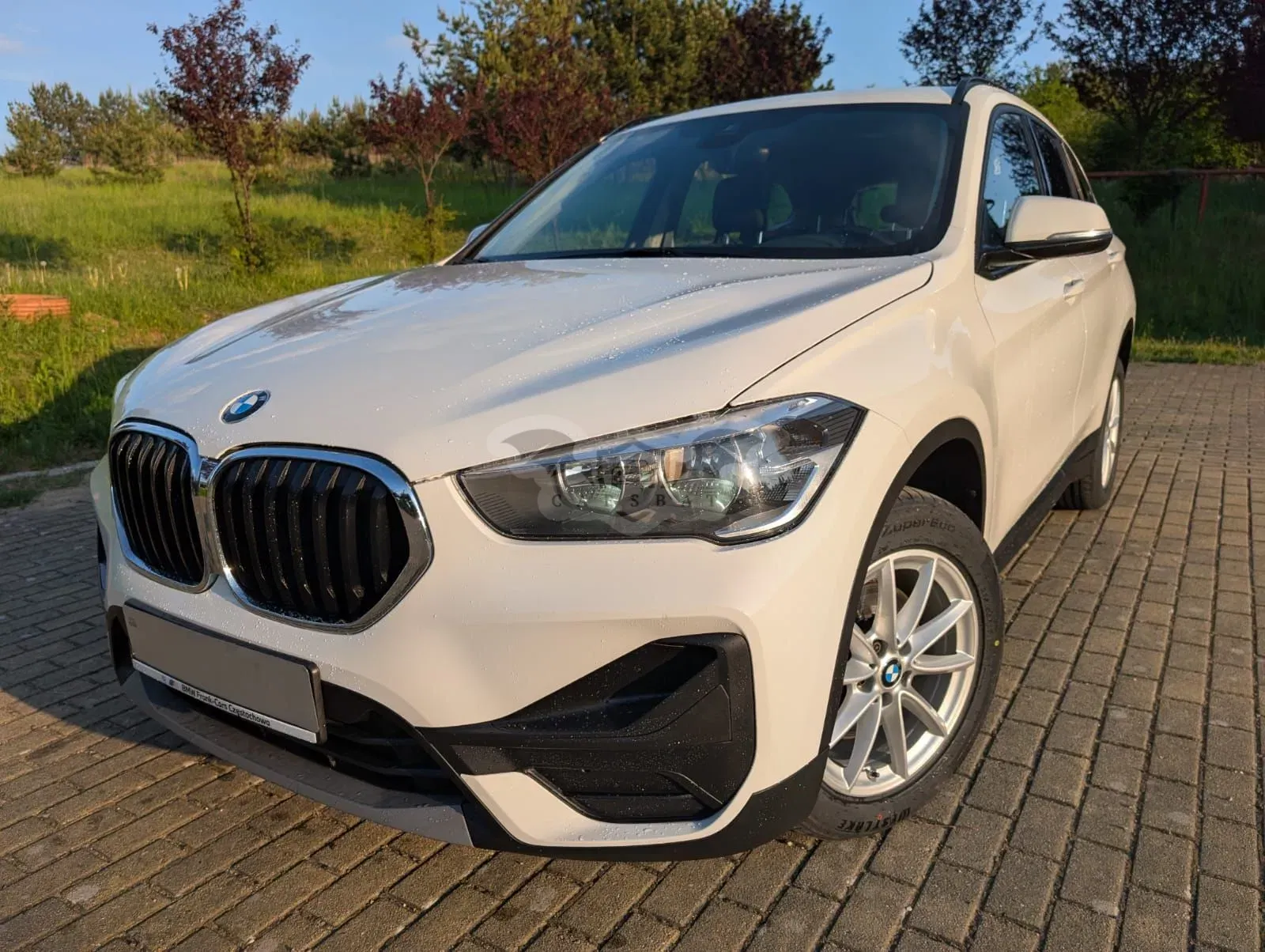 BMW X1 F48 sDrive18d Advantage 2019