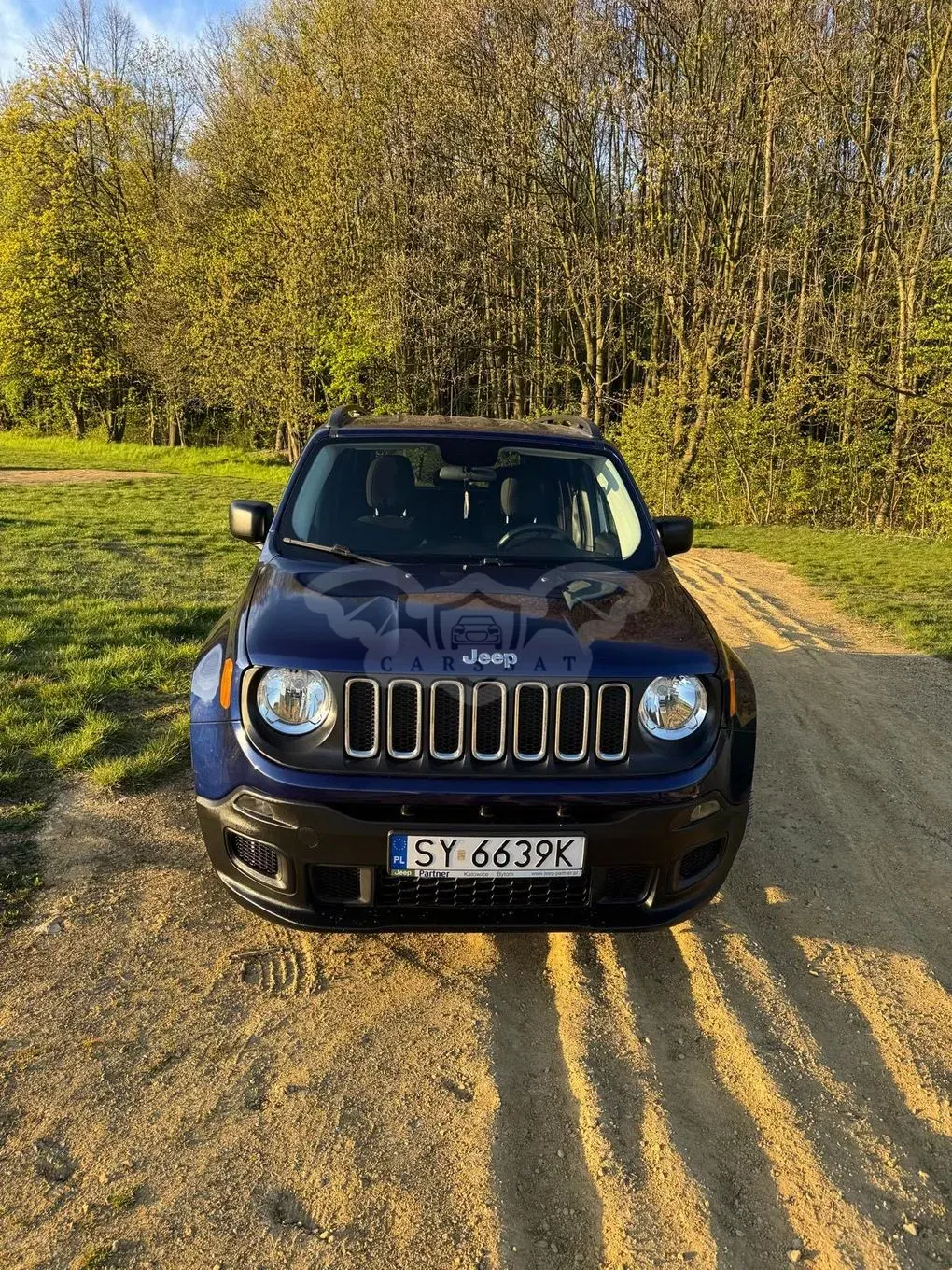 Jeep Renegade 2017