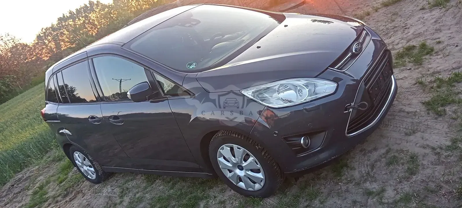 Ford Grand C-Max 2.0 TDCi Titanium 2014