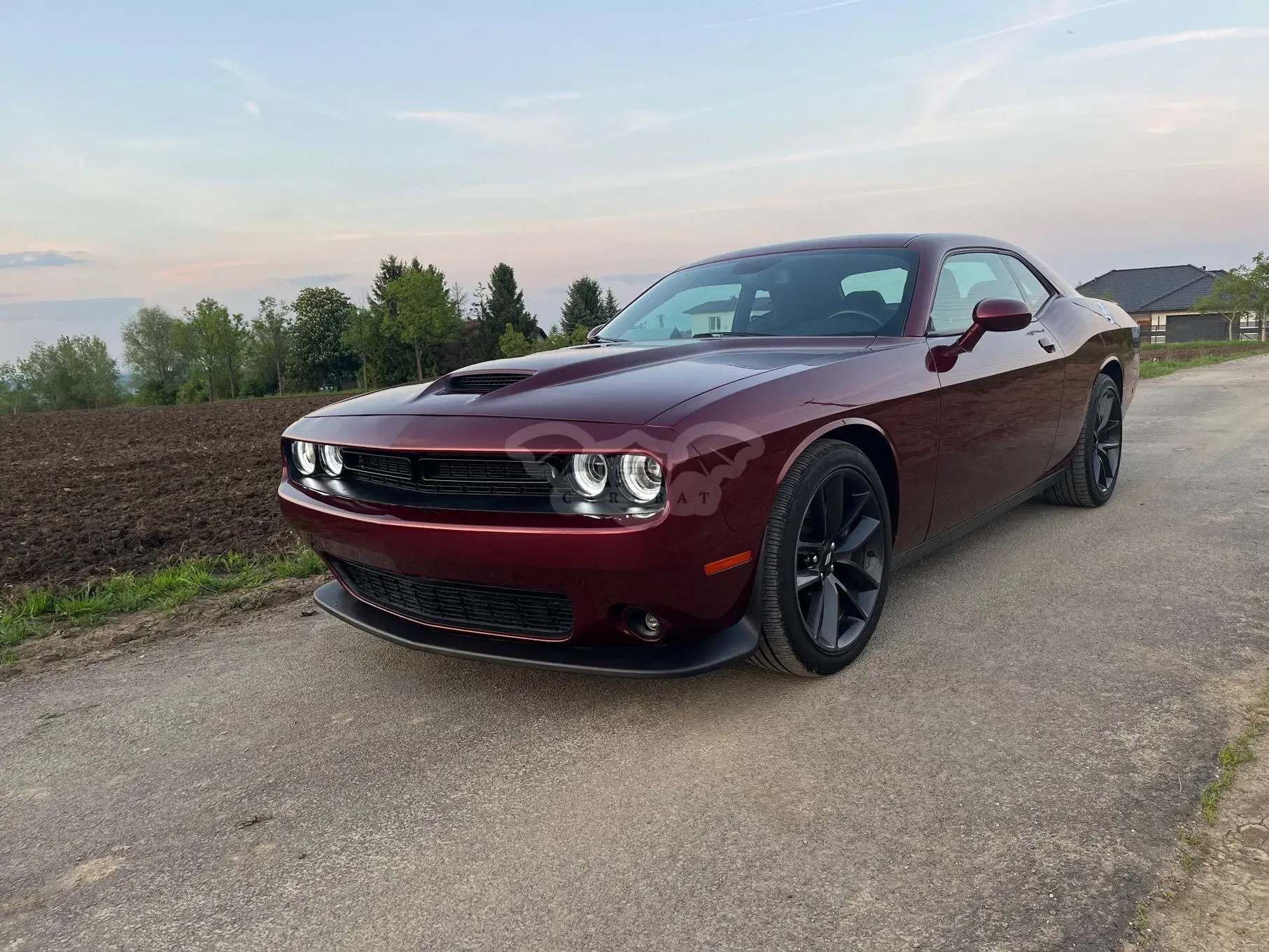 Dodge Challenger 2019