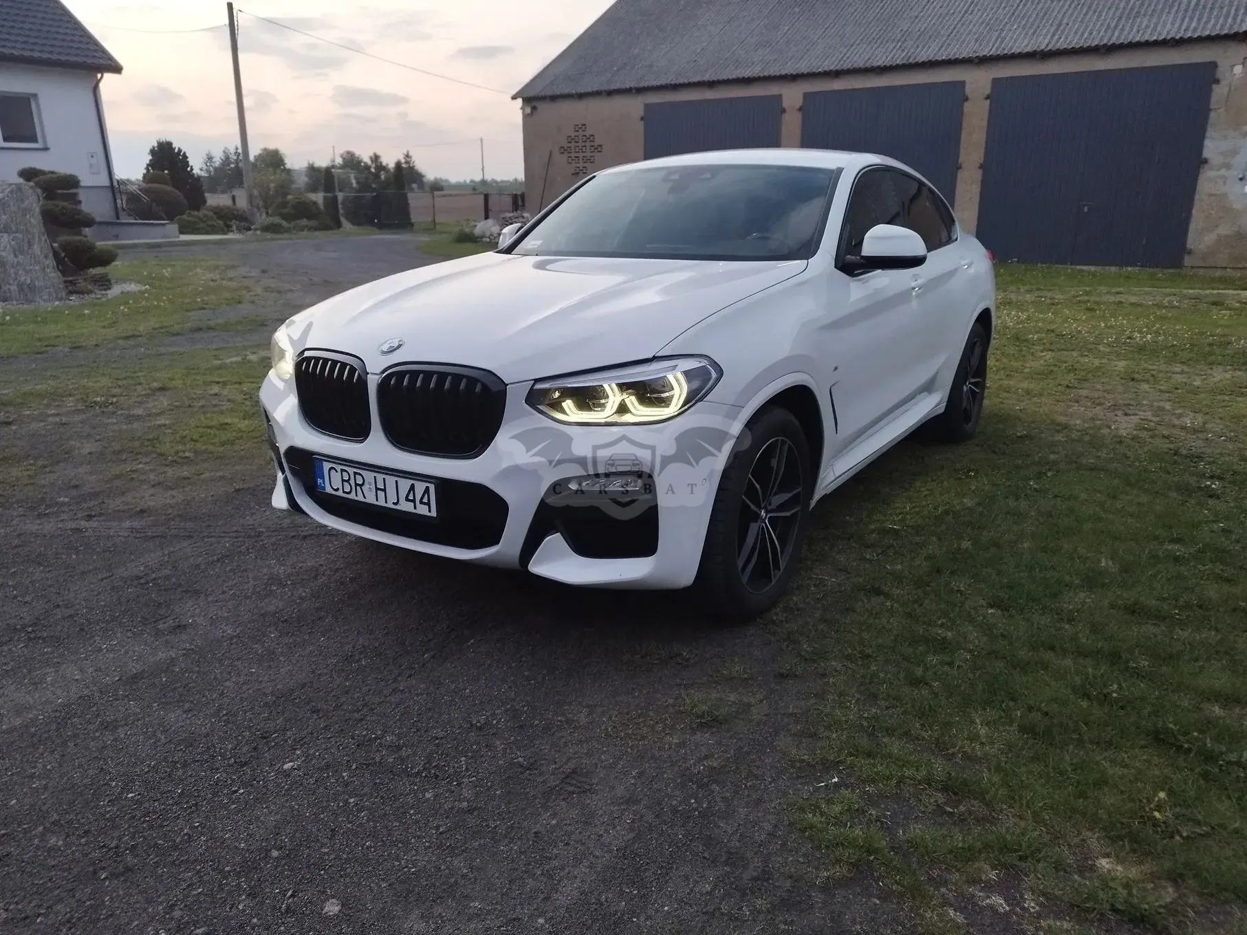 BMW X4 G02 xDrive30i M Sport sport 2019