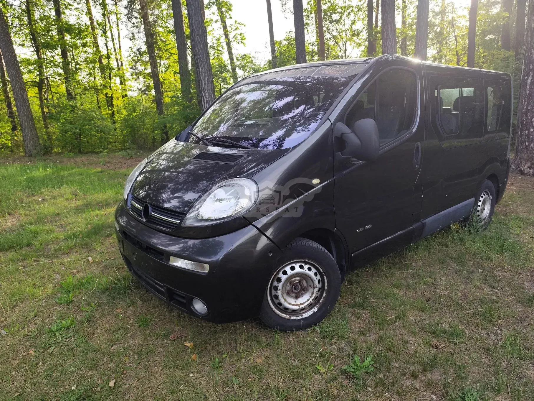 Renault Trafic II Passenger 2003