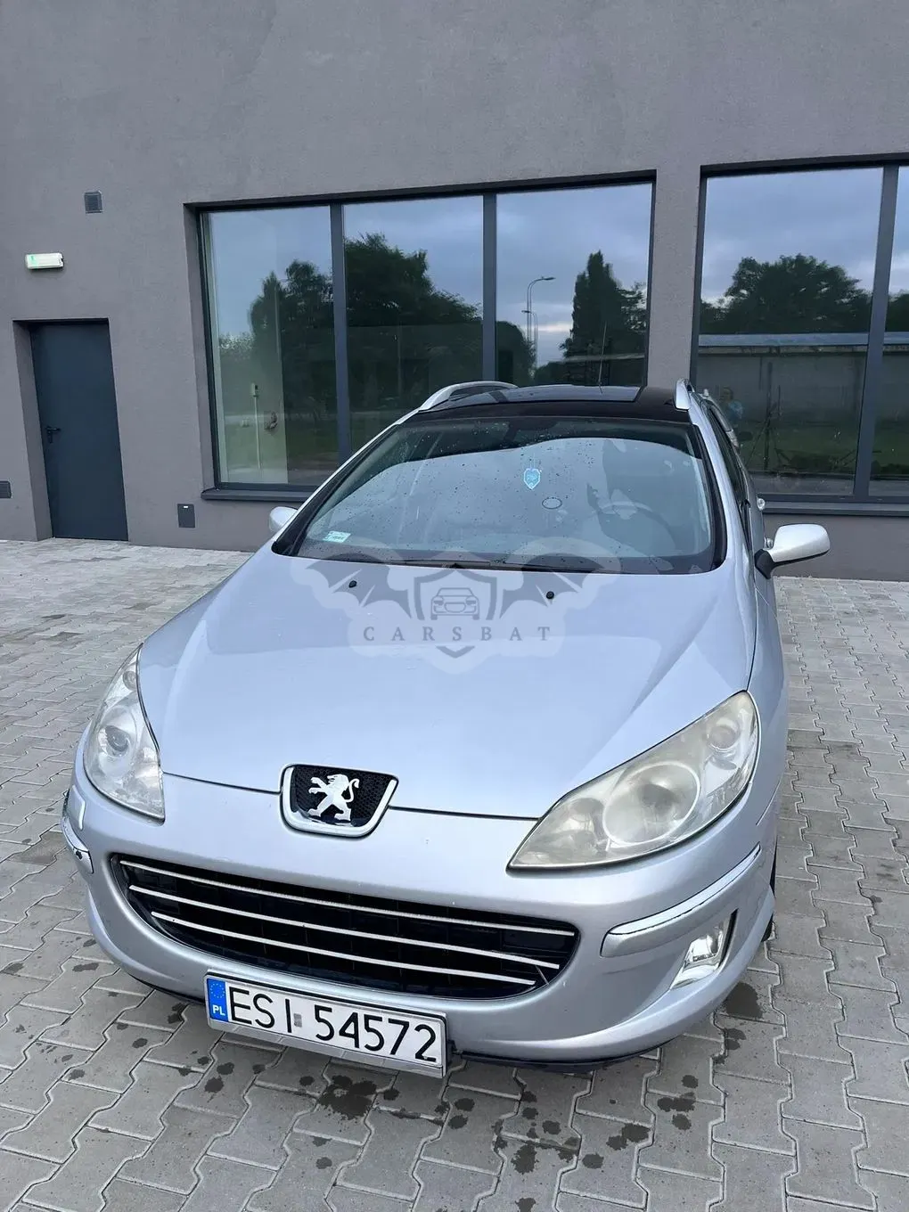 Peugeot 407 2.0 HDI Platinum 2007