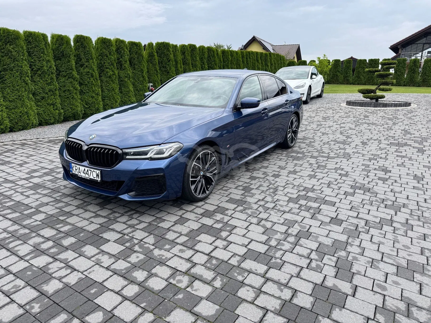 BMW 5 Series G30/G31 540i xDrive mHEV M Sport sport 2020