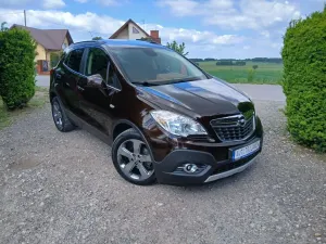 Opel Mokka I 1.4 Turbo ecoFLEX Start/Stop 4x4 Color Edition 2013