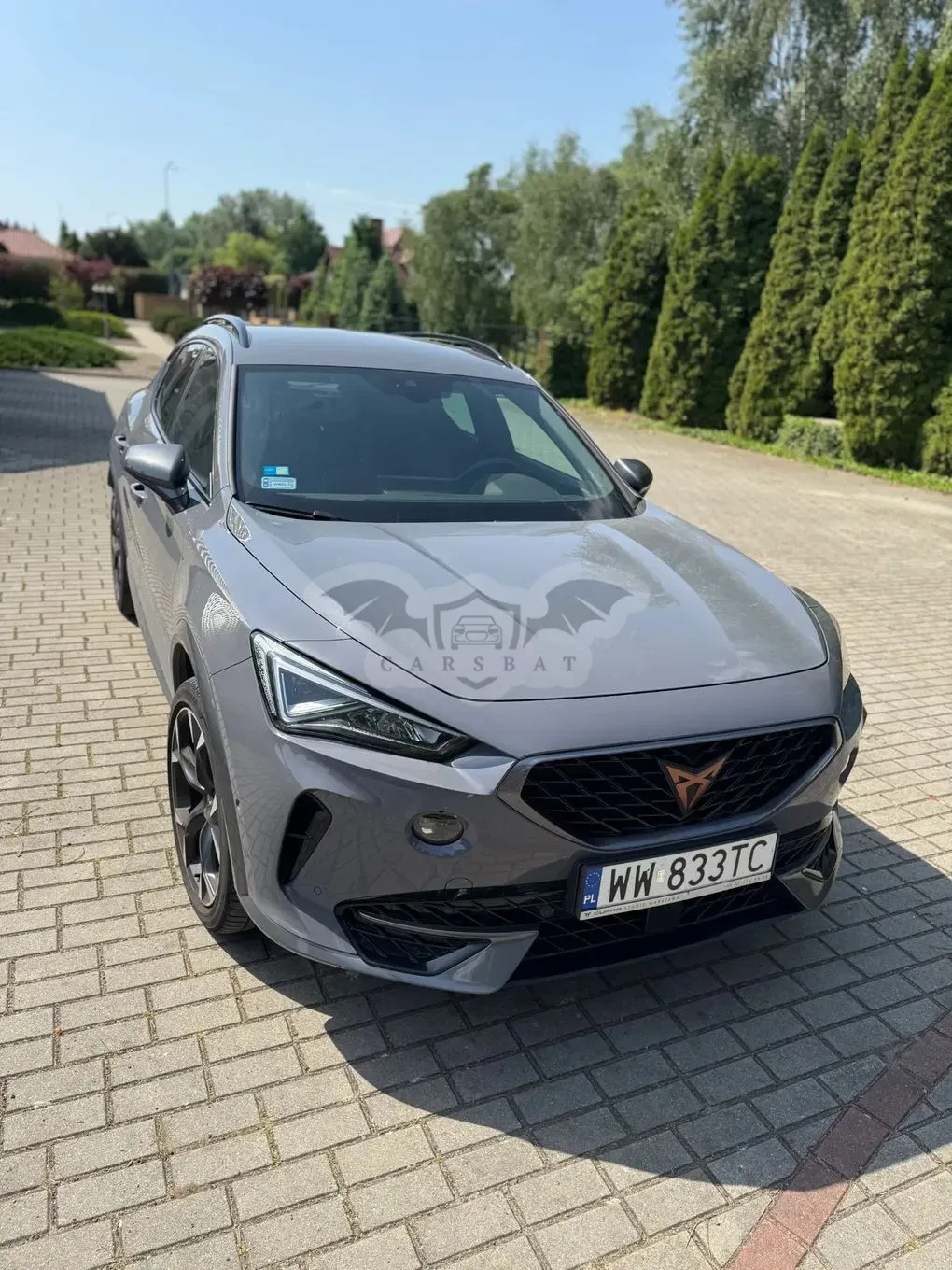 Cupra Formentor 2.0 TSI 4Drive DSG 2022