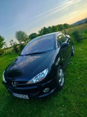 Peugeot 206 2005