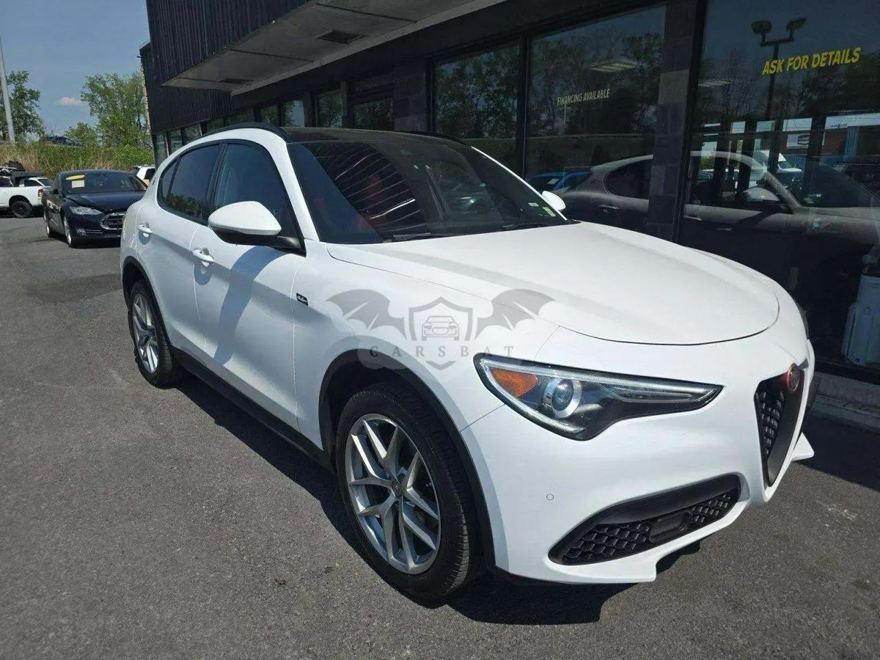 Alfa Romeo Stelvio 2.0 Turbo TI Q4 2019