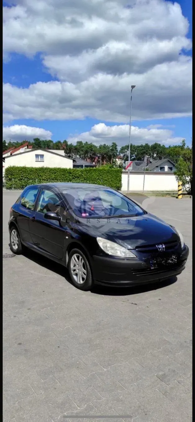 Peugeot 307 I ver-1-6-xs 2002