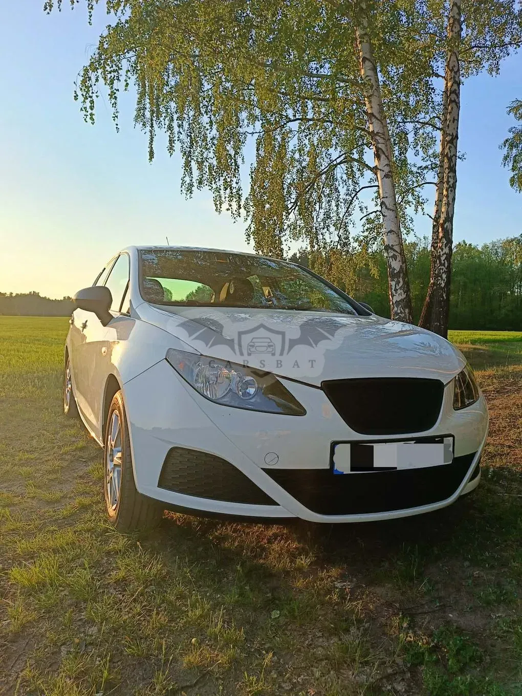 Seat Ibiza IV 2010